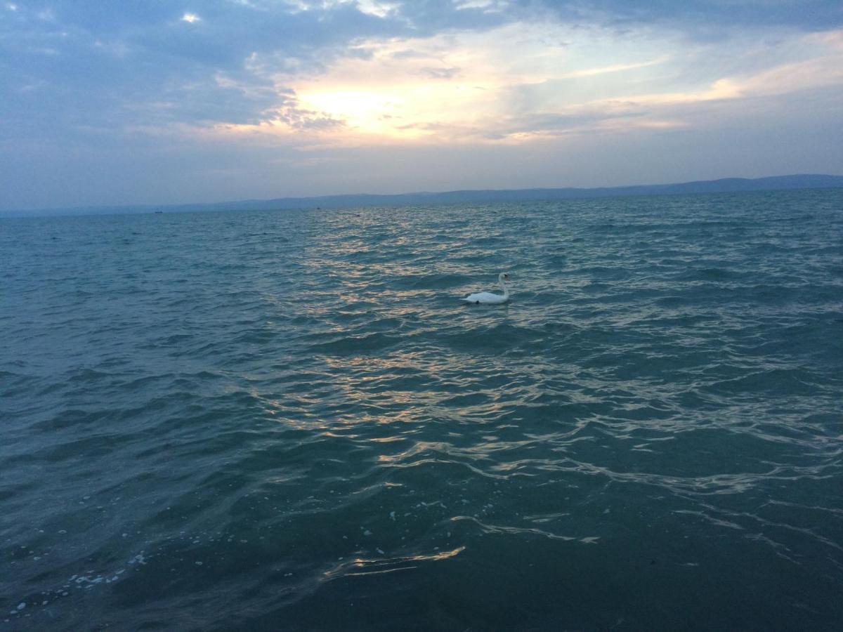 Pitypang Apartman Siofok Daire Dış mekan fotoğraf